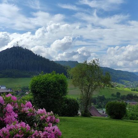 Traumblick Fewo Mit Pool Baiersbronn Exterior foto
